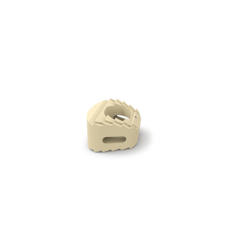 Orthopedic Spinal Fusion Device System Cervical Lumbar Cages CE / ISO13485